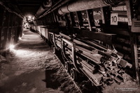 Anti spinbehandeling via http://www.spinvrij.com/