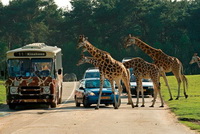 Anti spinbehandeling via http://www.spinvrij.com/